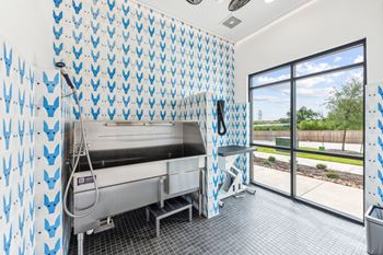Pet-spa & dog wash station